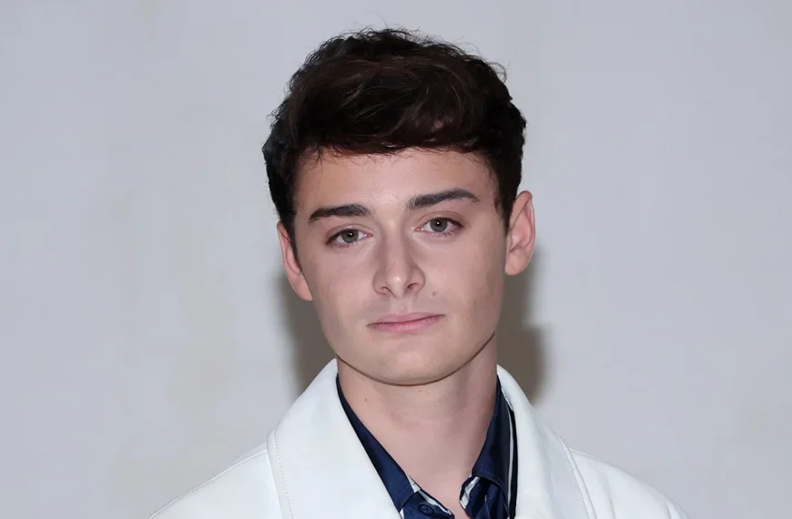 Noah Schnapp Net Worth 2025: Career Earnings and Assets